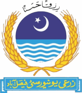 University of Agriculture Faisalabad Jobs