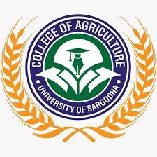 College of Agriculture Sargodha Jobs
