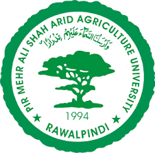 Pir Mehr Ali Shah Arid Agriculture University Jobs